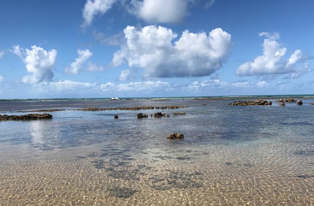 (Foto: Rita Santos/Acervo pessoal)